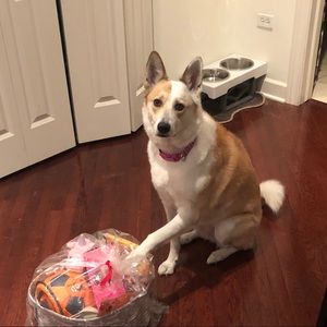 Meet your Posher, Stephanie